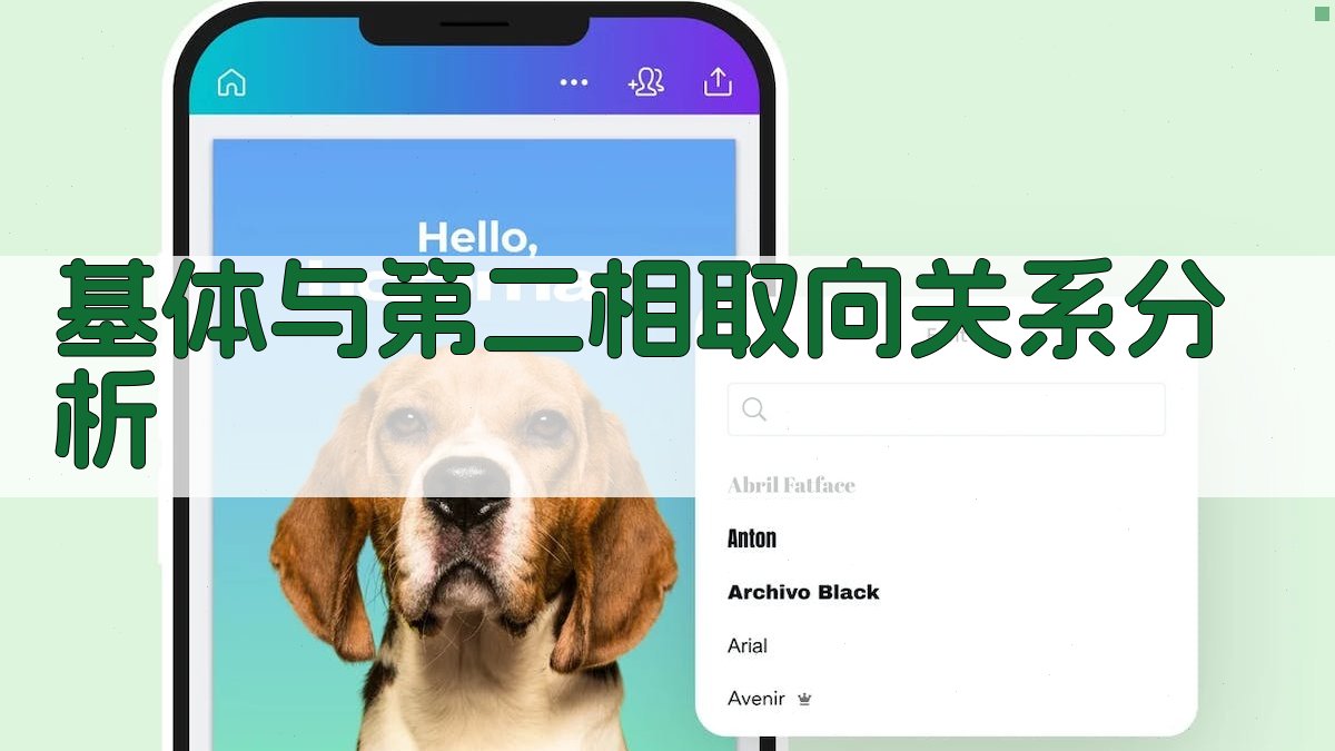 AI基体与第二相取向关系分析