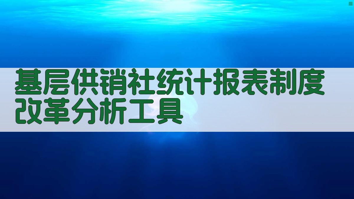 基层供销社统计报表制度改革分析工具