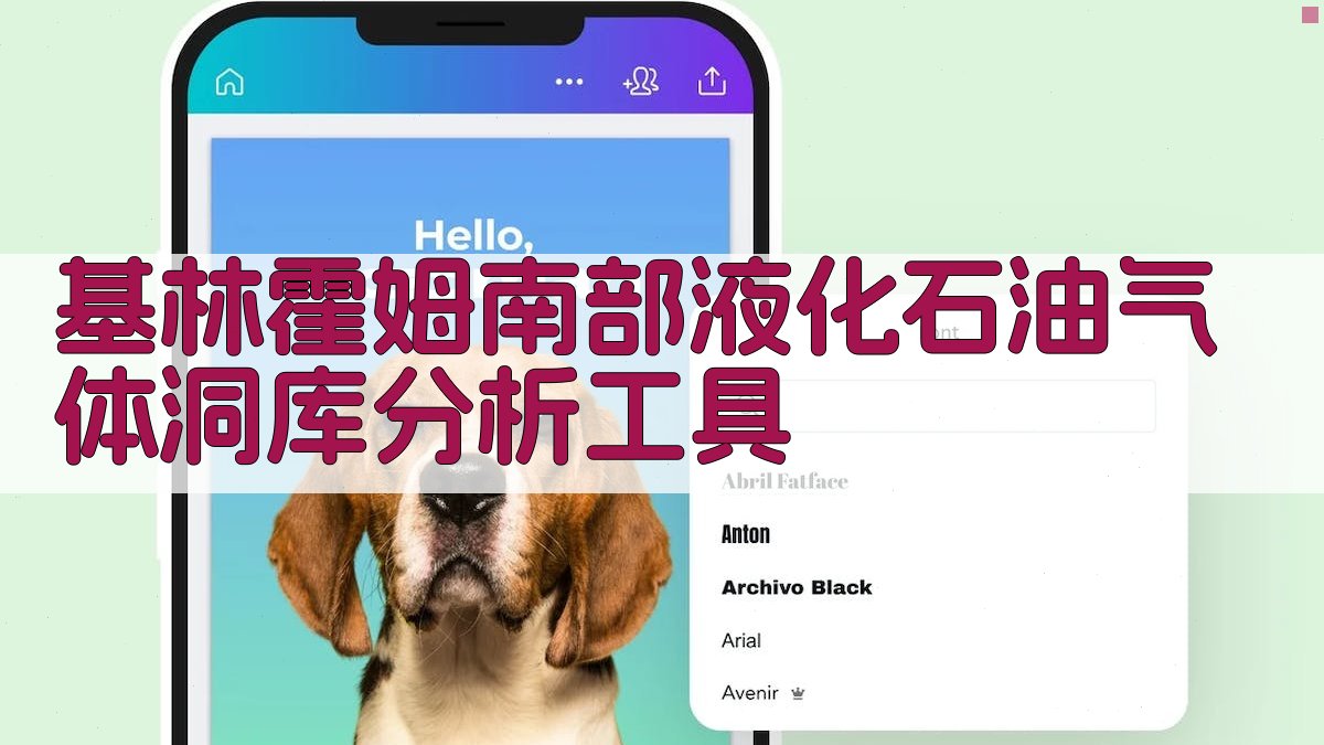 基林霍姆南部液化石油气体洞库分析工具