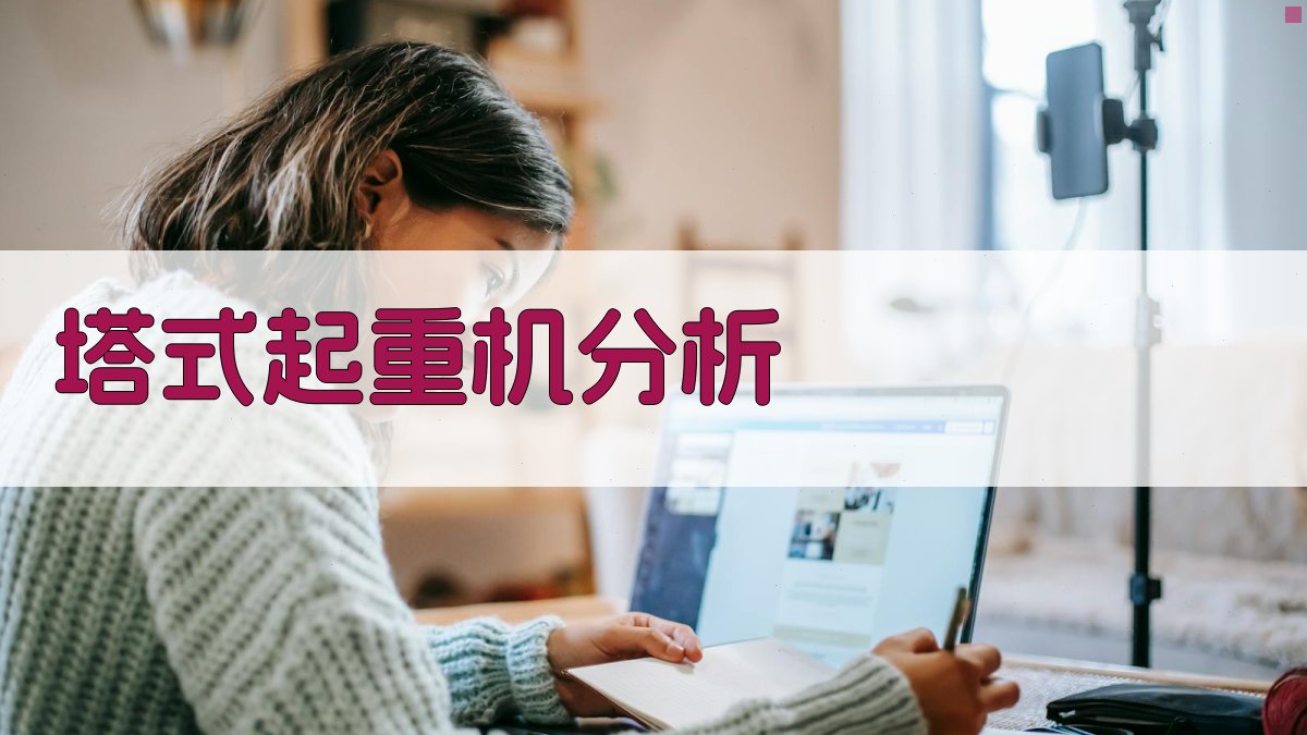 AI塔式起重机分析工具