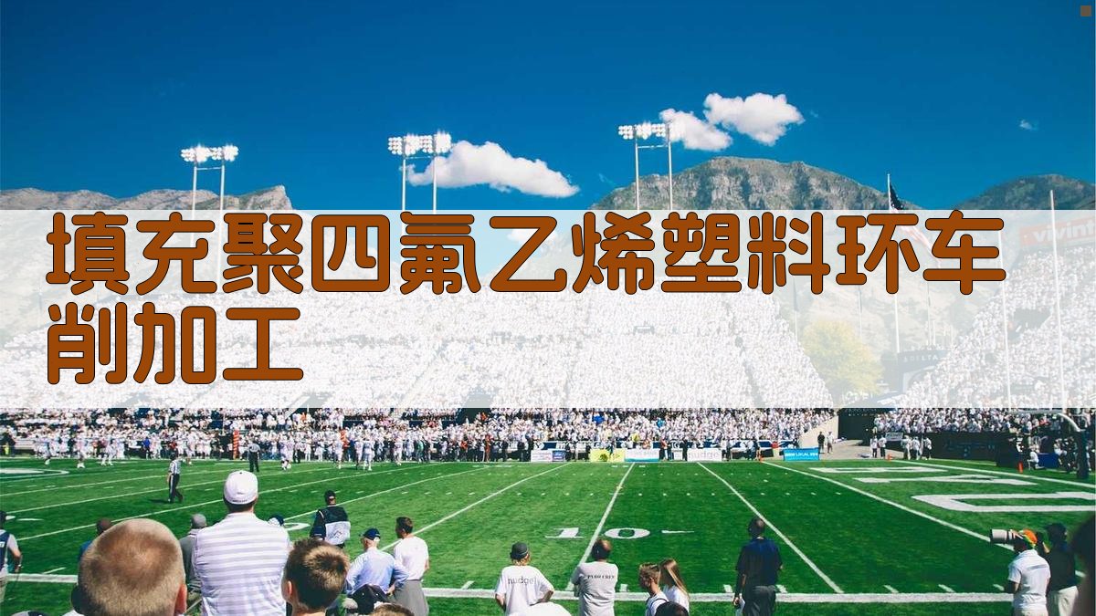 填充聚四氟乙烯塑料环车削加工