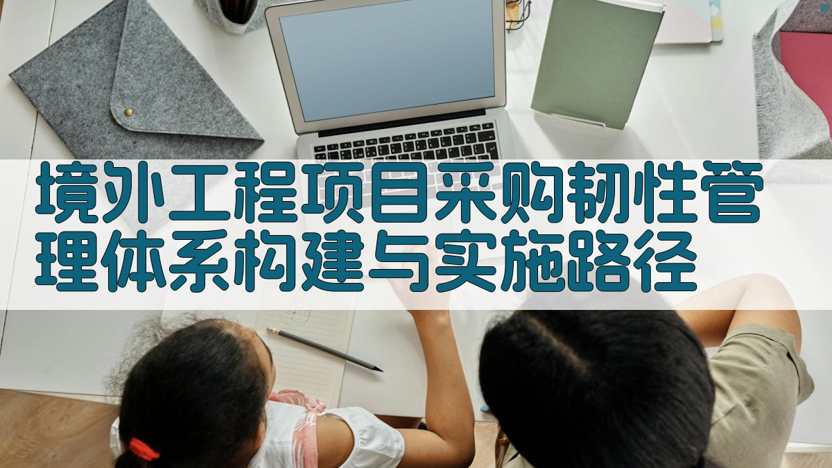 AI境外工程项目采购韧性管理体系构建