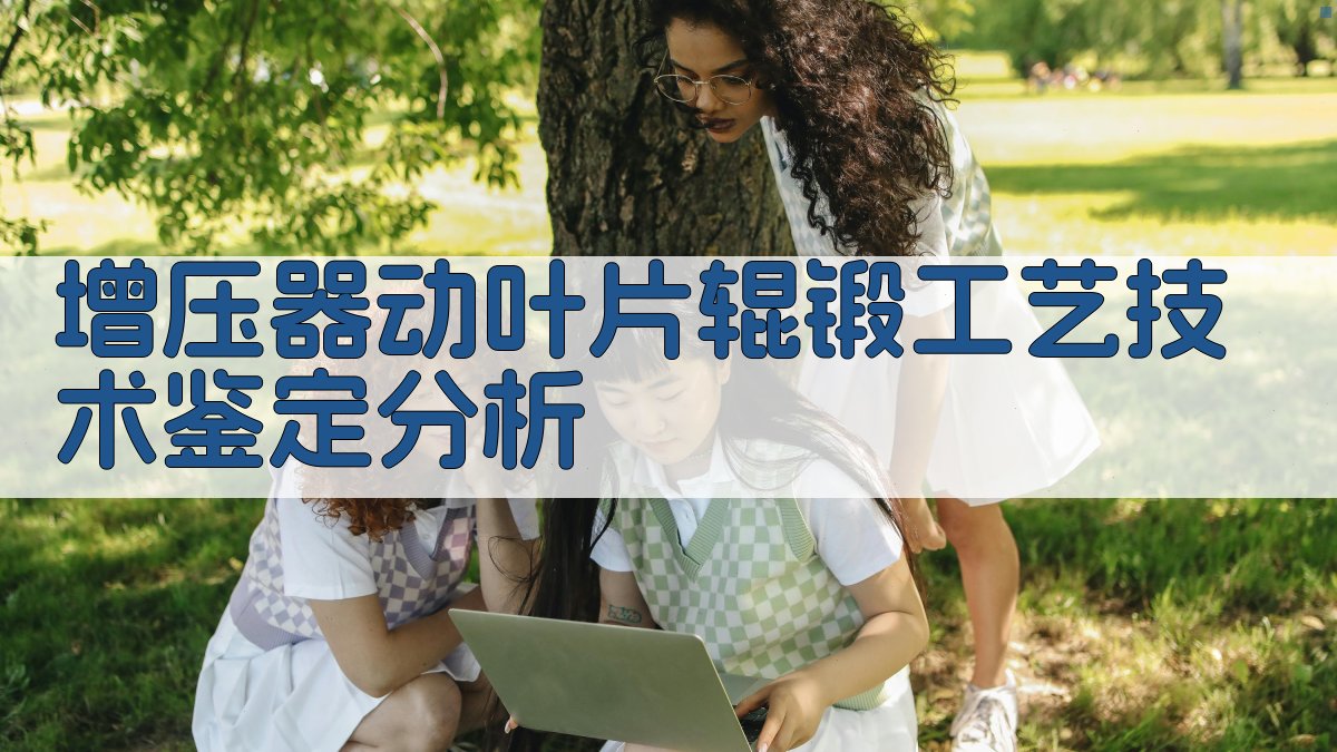 增压器动叶片辊锻工艺技术鉴定分析