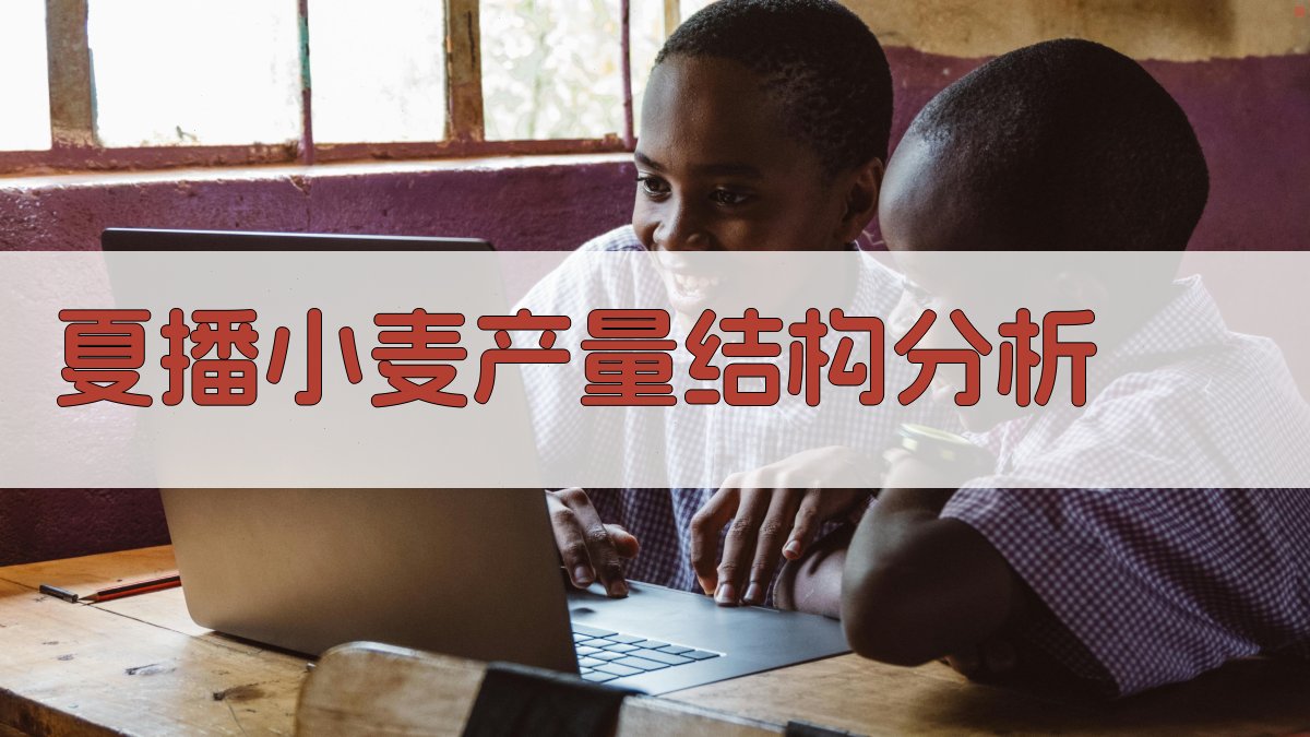 夏播小麦产量结构分析