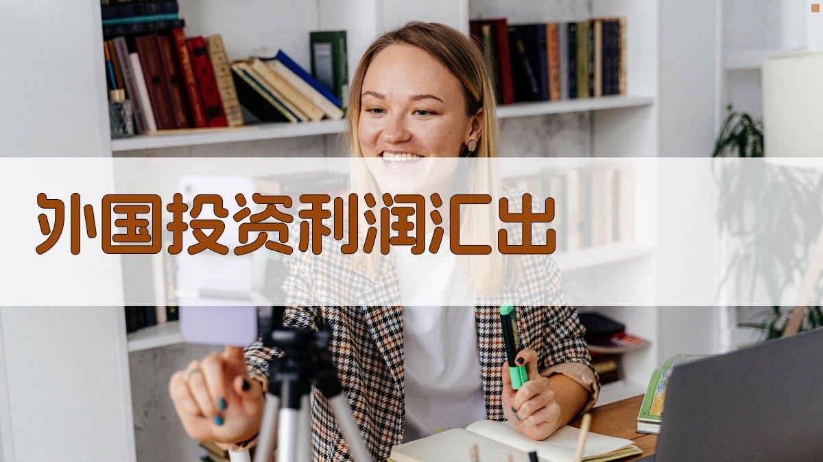 AI外国投资利润汇出研究助手