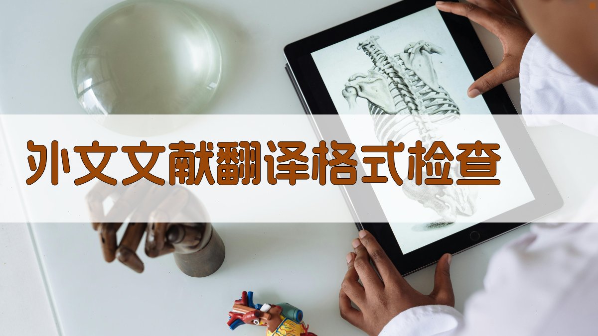 AI外文文献翻译格式检查