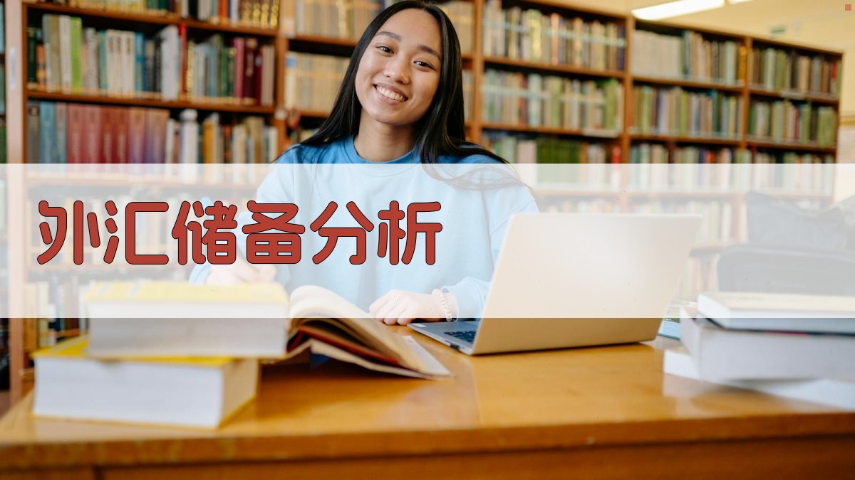 AI智能外汇储备分析器