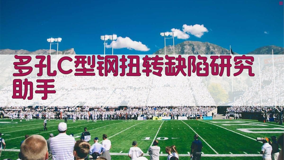 多孔C型钢扭转缺陷研究助手