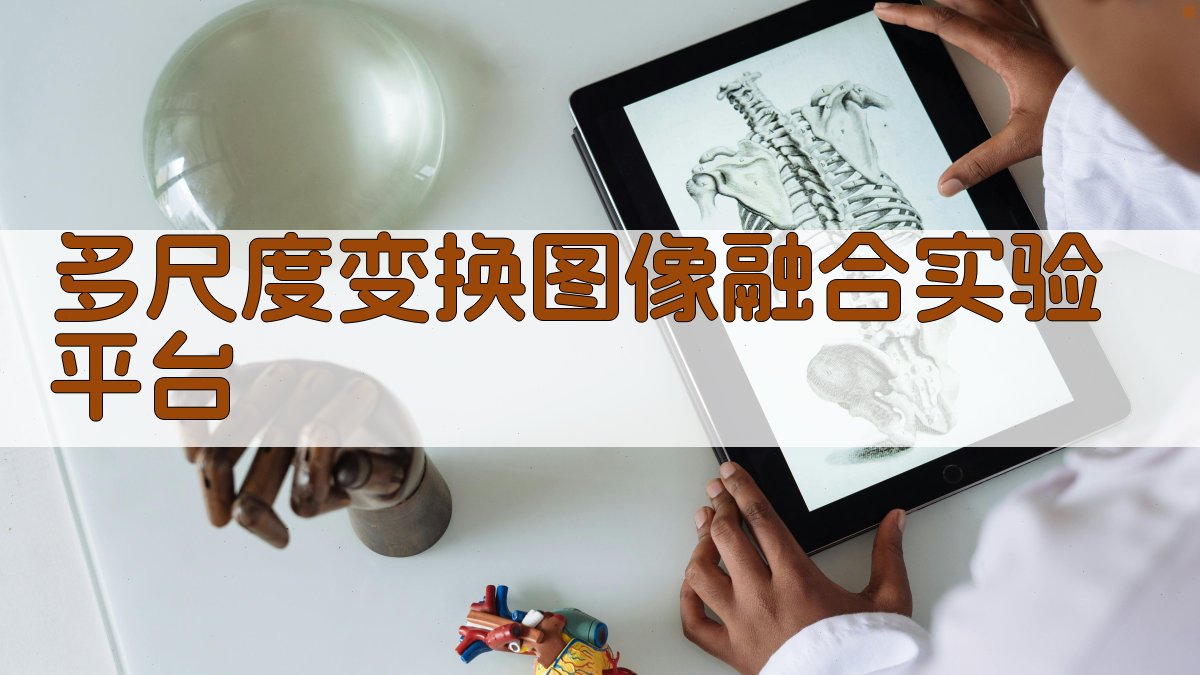 图像融合研究助手