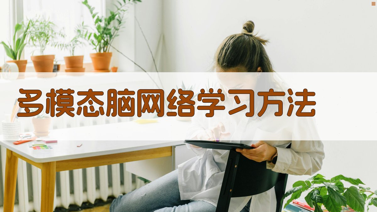 AI多模态脑网络学习方法生成器