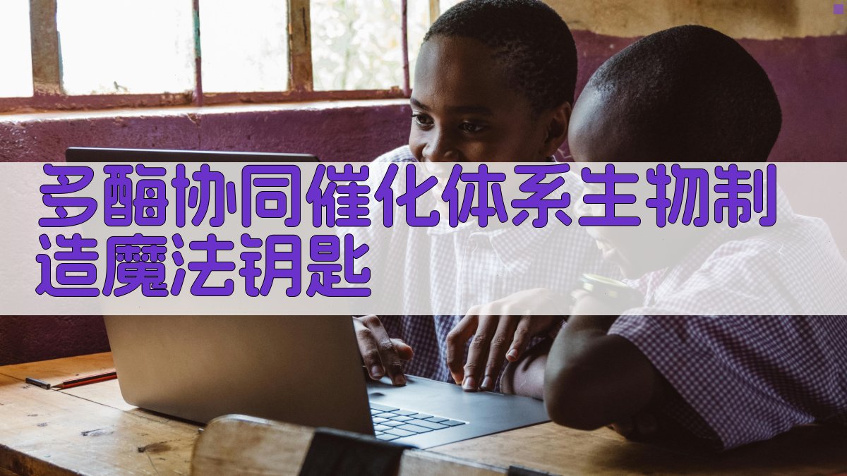 多酶协同催化体系生物制造魔法钥匙