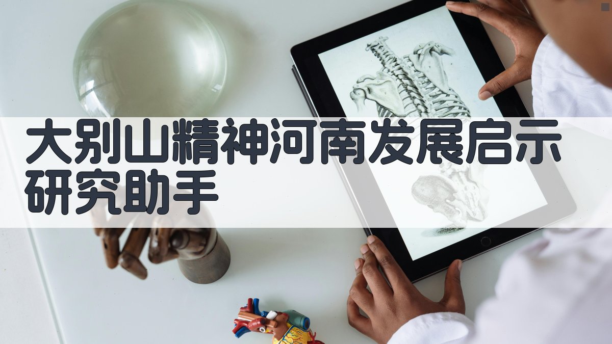 大别山精神河南发展启示研究助手