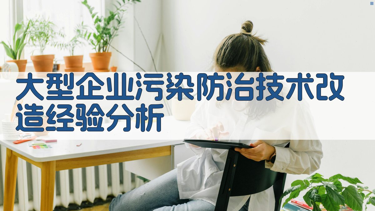 大型企业污染防治技术改造经验分析