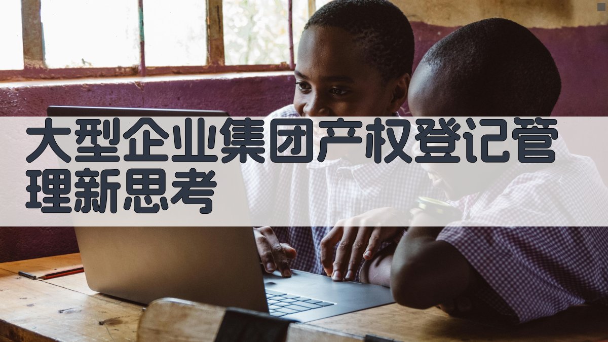 大型企业集团产权登记管理新思考