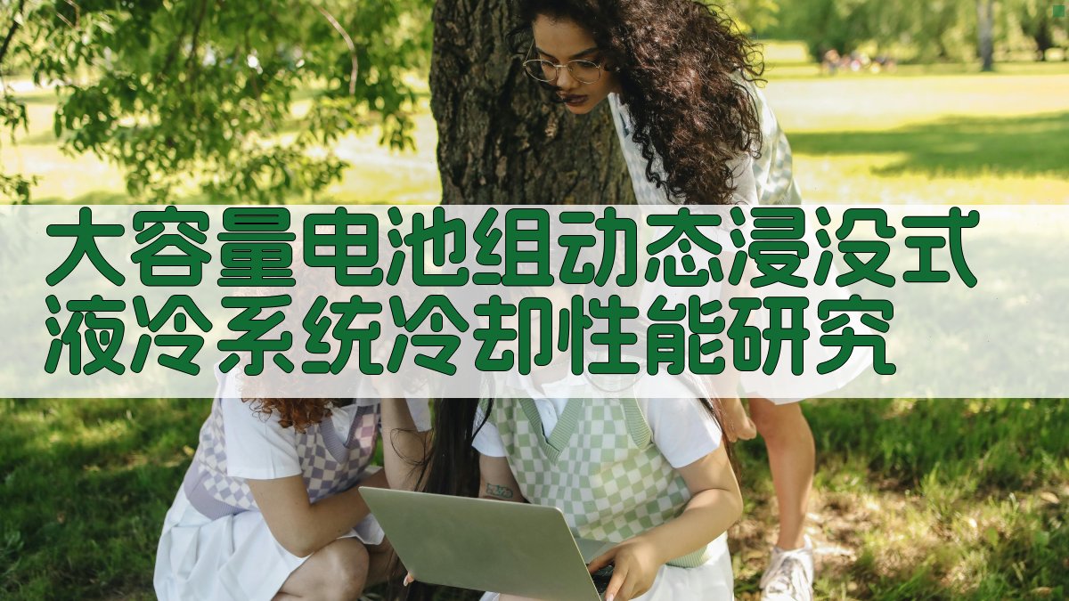 大容量电池组动态浸没式液冷系统冷却性能研究