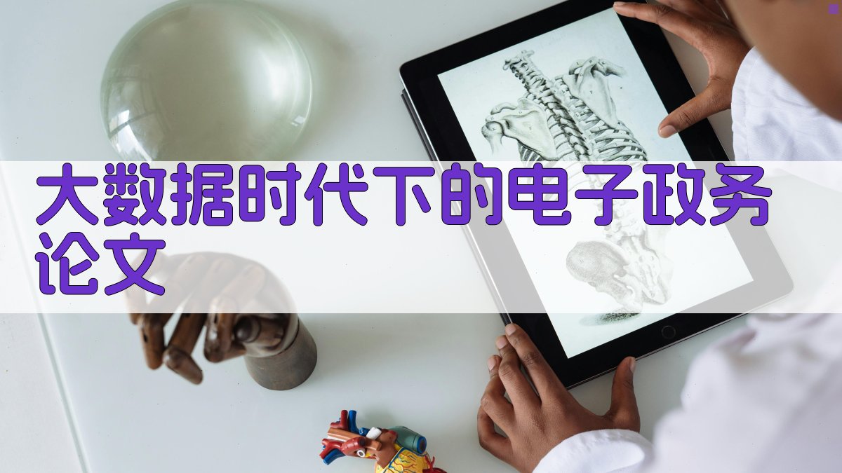 大数据时代下的电子政务论文生成