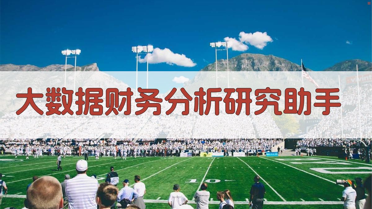 AI 大数据财务分析研究助手
