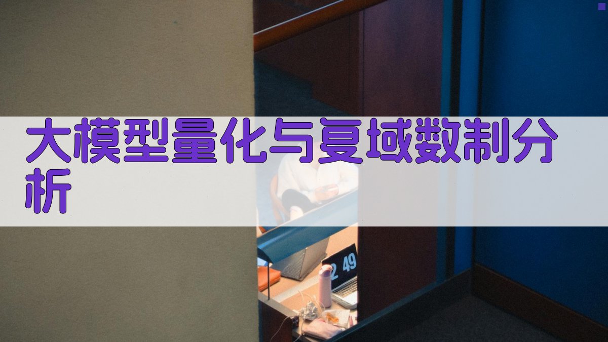 大模型量化与复域数制分析