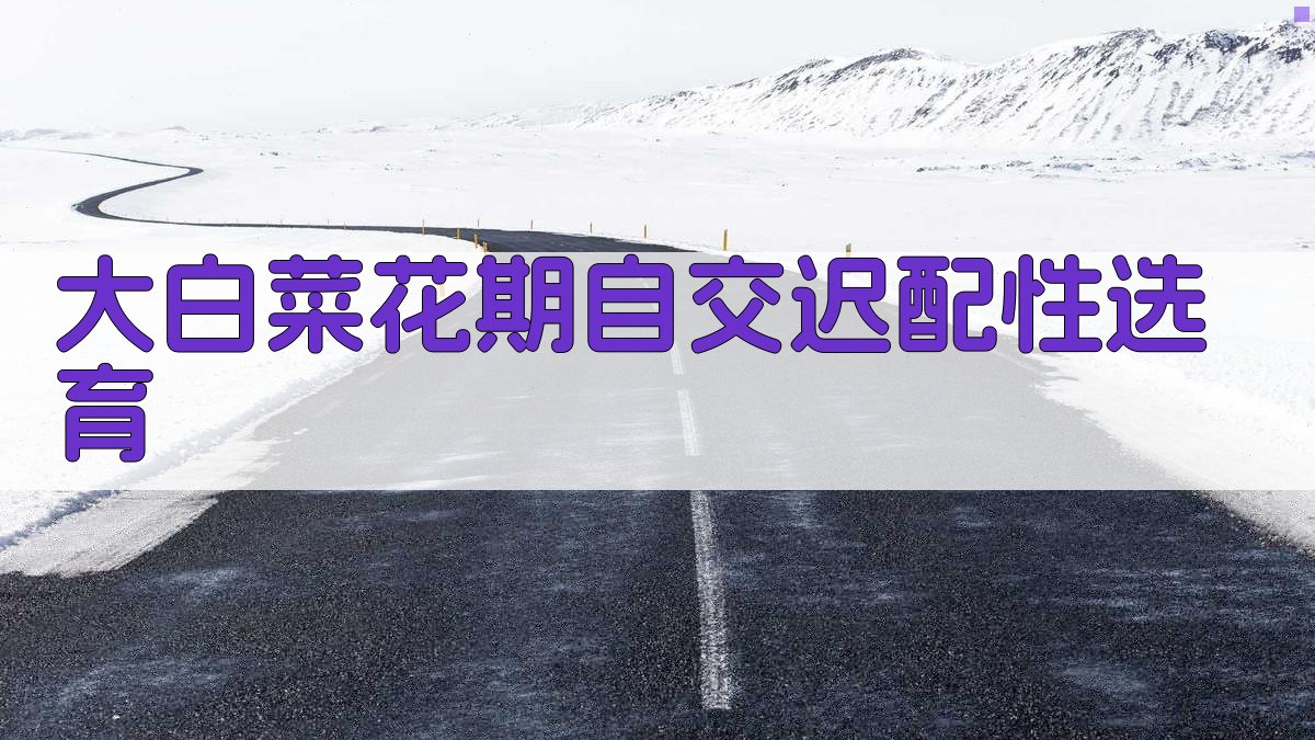 大白菜选育助手