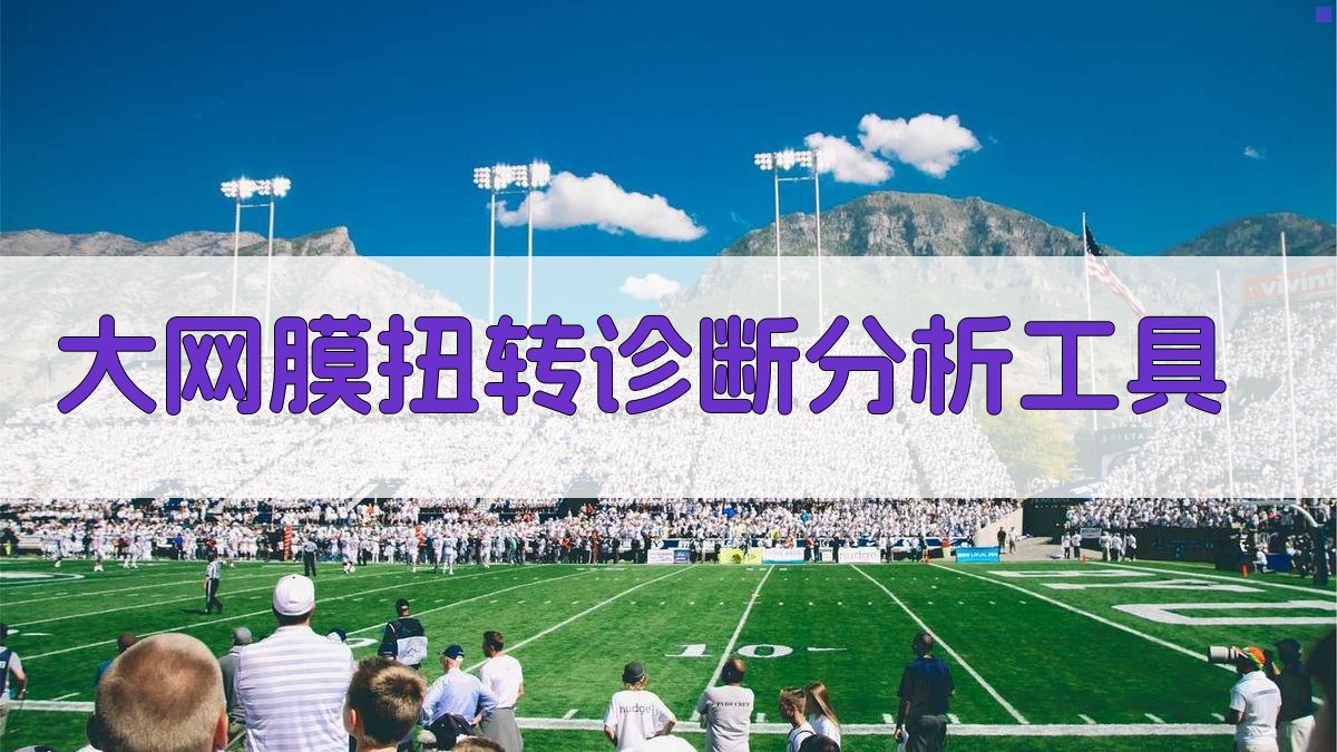 大网膜扭转诊断分析工具