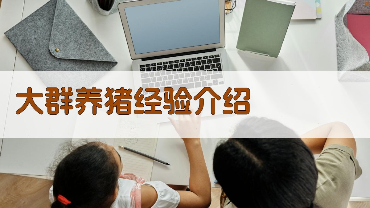 AI一键生成大群养猪经验介绍