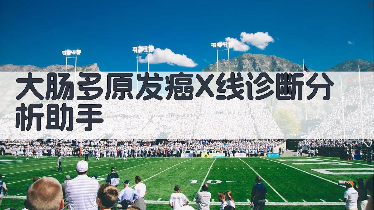 AI大肠多原发癌X线诊断分析