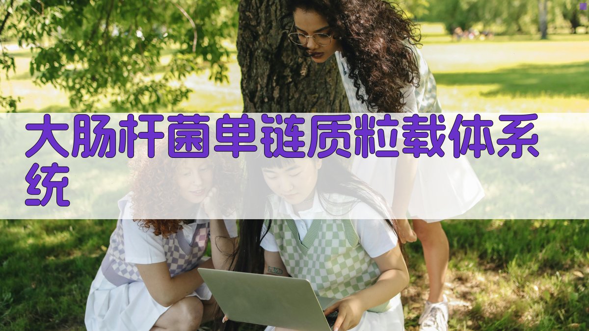 大肠杆菌单链质粒载体系统