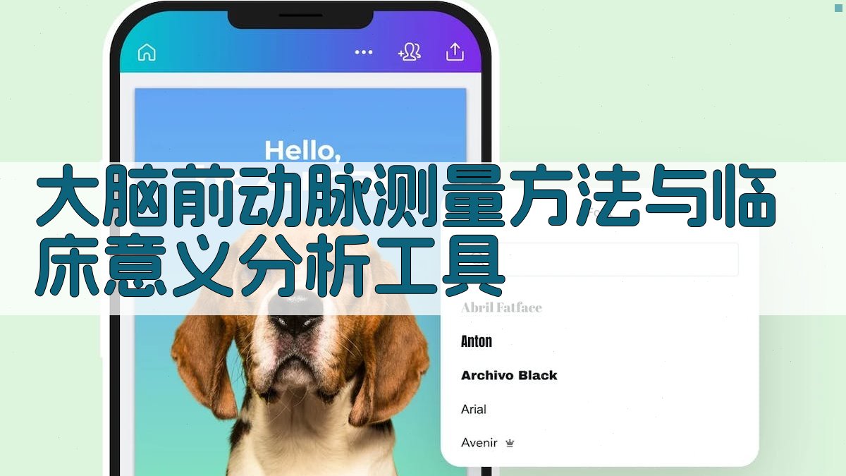 大脑前动脉测量方法与临床意义分析工具