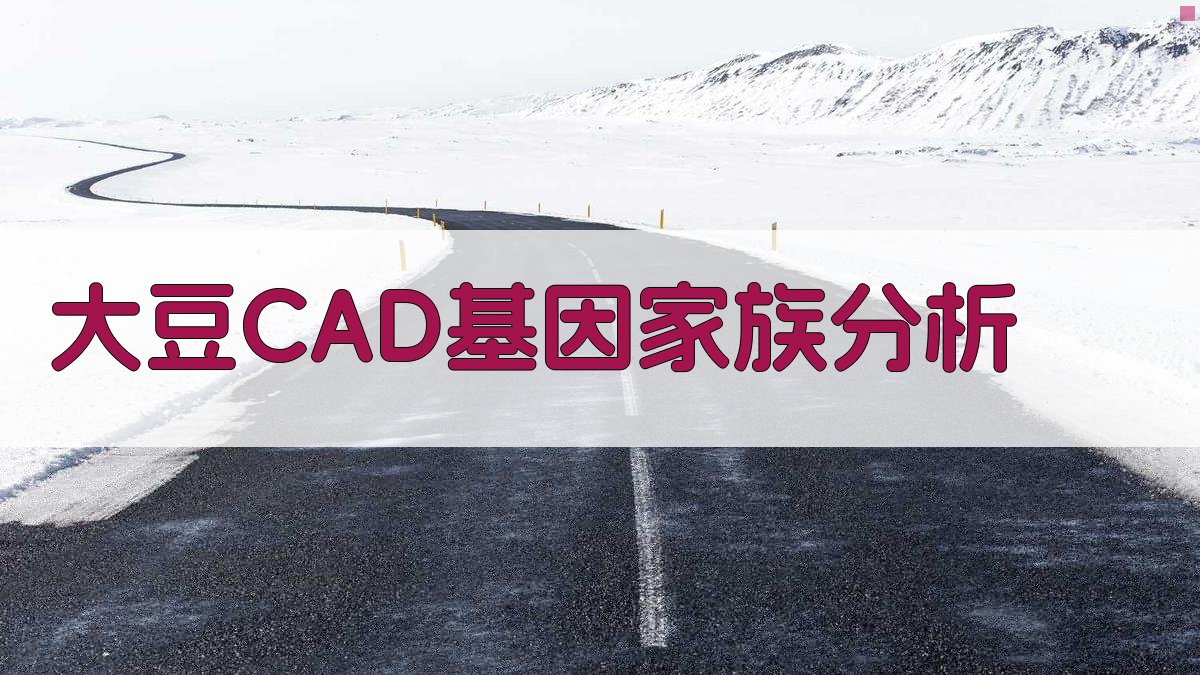 大豆CAD基因家族分析