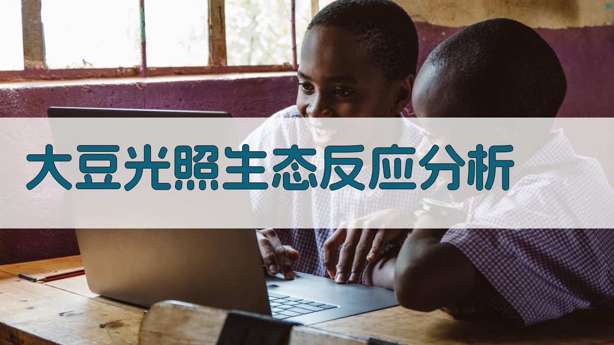 AI大豆光照生态反应分析