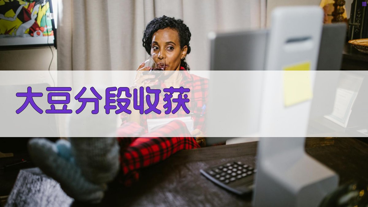 AI大豆分段收获优化工具