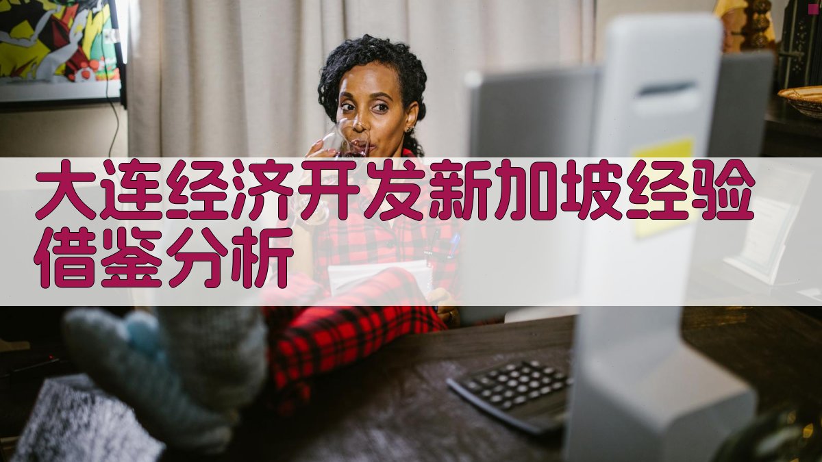 大连经济开发新加坡经验借鉴分析