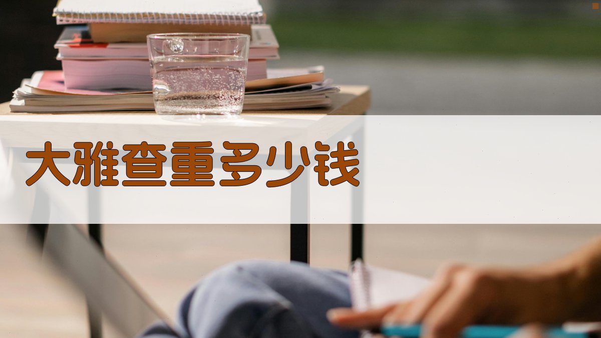 大雅查重多少钱