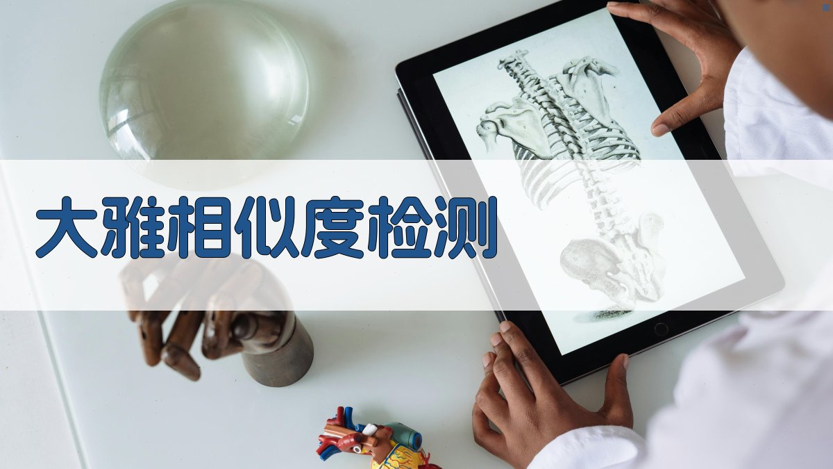 大雅相似度检测