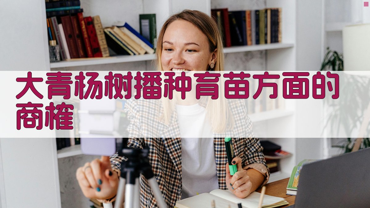 大青杨树播种育苗方面的商榷