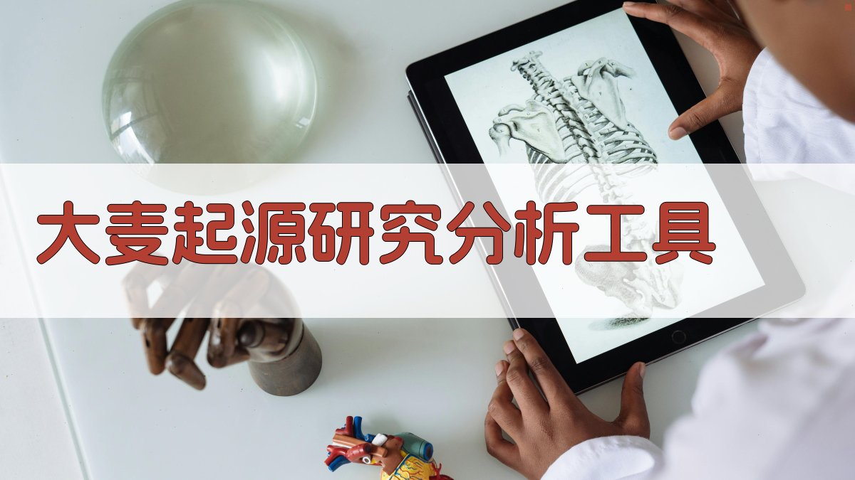 大麦起源研究分析工具