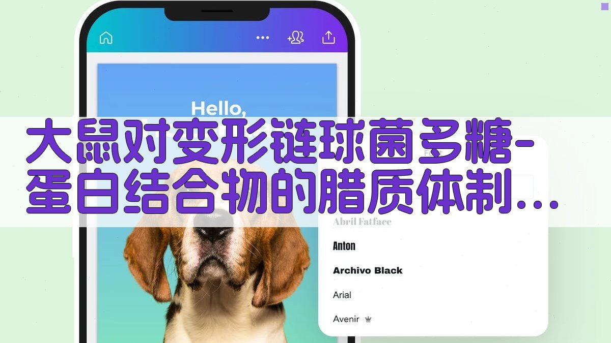 AI智能分析工具