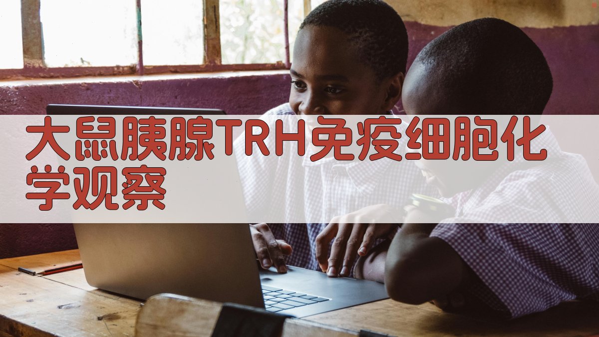 大鼠胰腺TRH免疫细胞化学观察