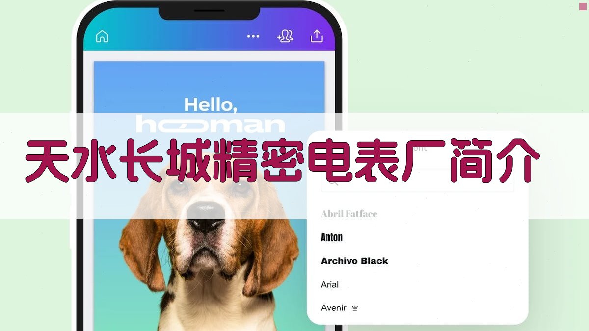 天水长城精密电表厂简介分析