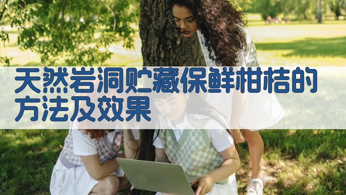 天然岩洞贮藏保鲜柑桔的方法及效果