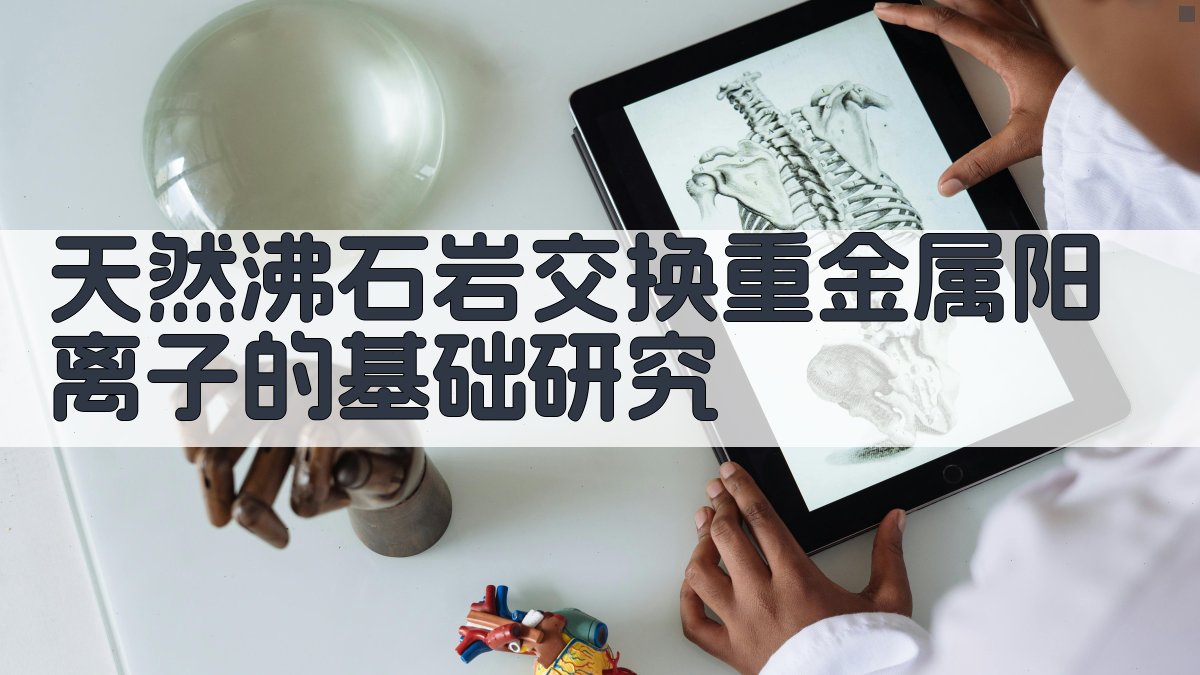 AI天然沸石重金属交换研究