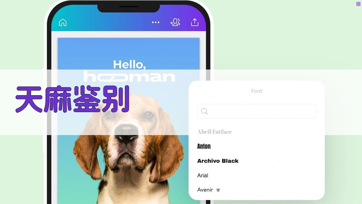 AI智能天麻鉴别系统