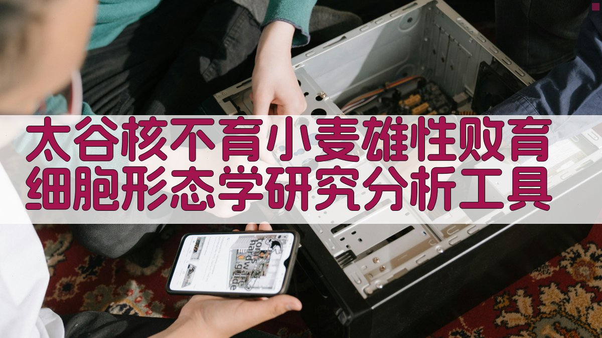 太谷核不育小麦雄性败育细胞形态学研究分析工具