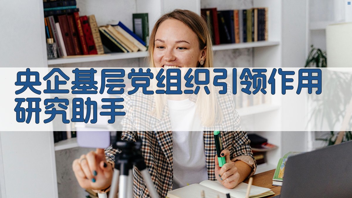 央企基层党组织引领作用研究助手