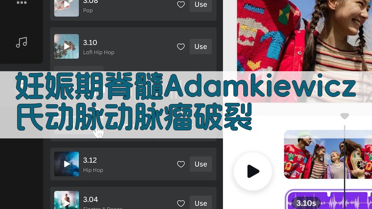 妊娠期脊髓Adamkiewicz氏动脉动脉瘤破裂研究工具