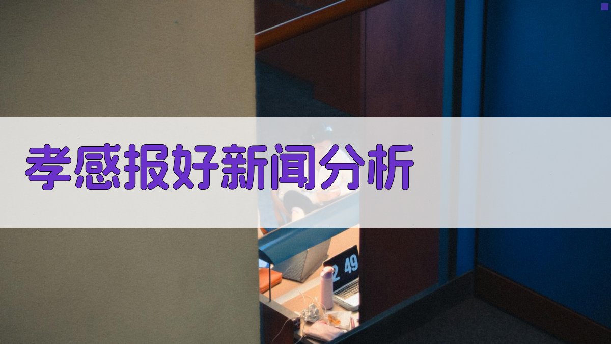 《孝感报》好新闻分析