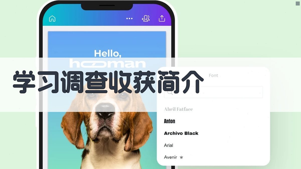 AI学习调查收获简介