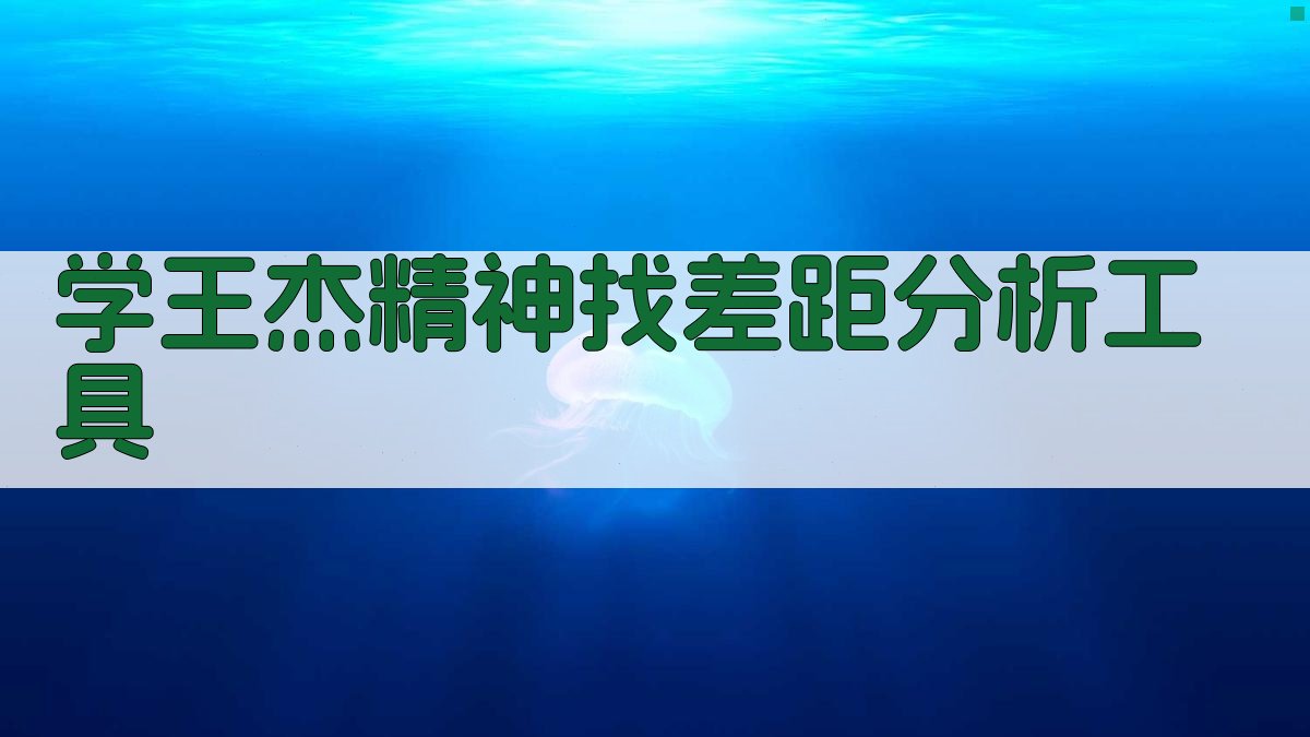 学王杰精神找差距分析工具