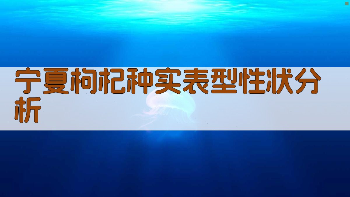 宁夏枸杞种实表型性状分析