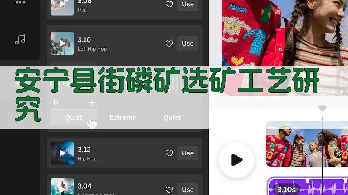安宁县街磷矿选矿工艺研究